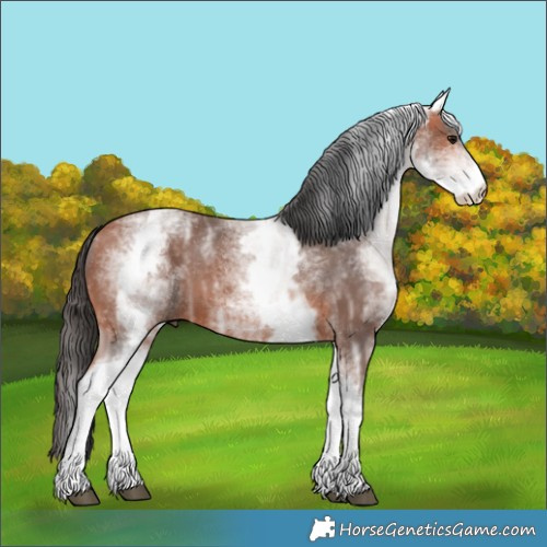 Horse Color:White Spotted Bay Ice 