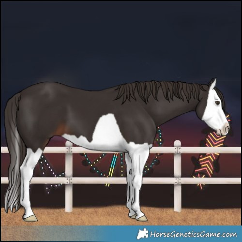 Horse Color:Liver Chestnut Splash 