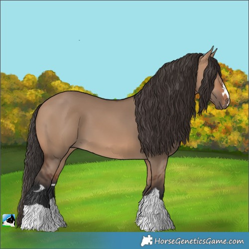 Horse Color:Bay Dun 