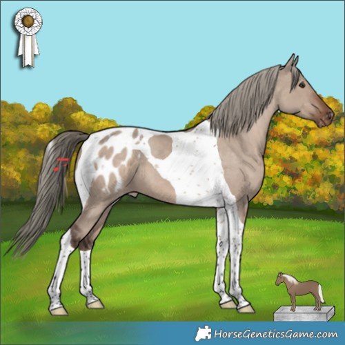 Horse Color:Liver Red Dun Mushroom Tobiano Appaloosa