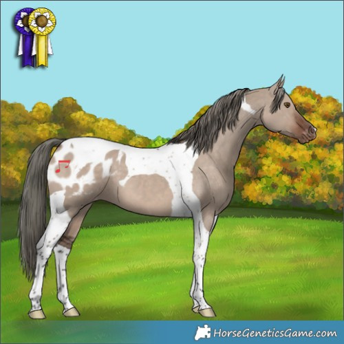 Horse Color:Liver Red Dun Mushroom Tobiano Varnish