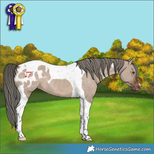 Horse Color:Liver Red Dun Mushroom Tobiano Varnish 