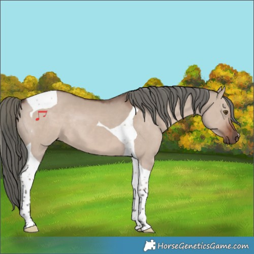 Horse Color:Liver Red Dun Mushroom Tobiano 