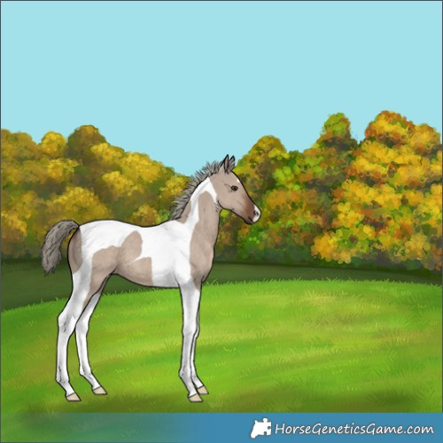 Horse Color:Liver Red Dun Mushroom Tobiano 