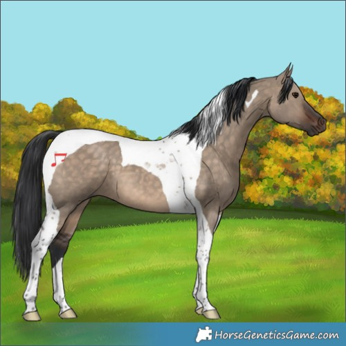 Horse Color:Brown Dun Tobiano 