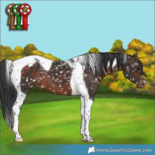 Horse Color:Brown Mushroom Tobiano Snowflake Varnish 