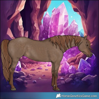 Horse Color:Liver Red Dun Rabicano 