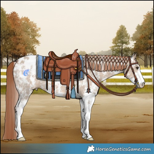 Horse Color:Liver Red Dun Sabino Varnish 