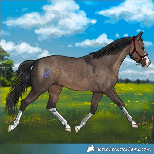 Horse Color:Brown Dun Mushroom 