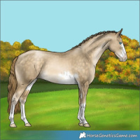 Horse Color:Buckskin Pearl