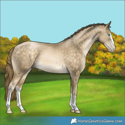 Horse Color:Buckskin Pearl 