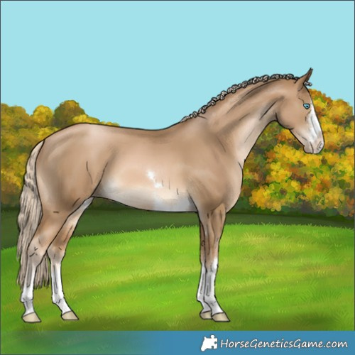 Horse Color:Chocolate Palomino Pearl