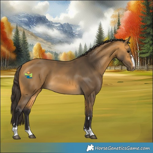 Horse Color:Buckskin 