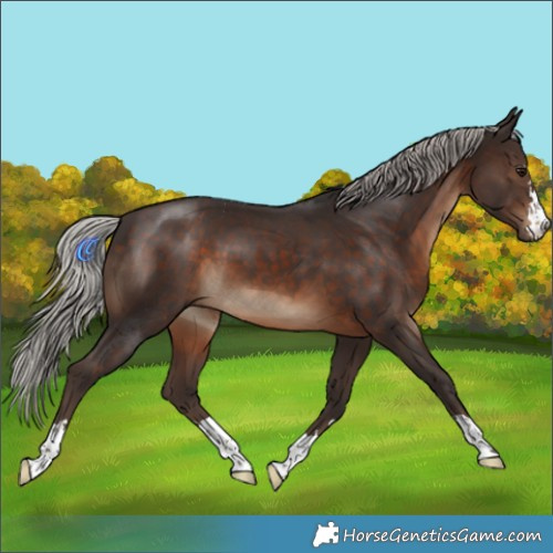 Horse Color:Silver Brown 