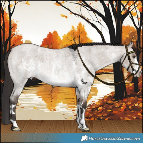 Horse Color:Brown Roan Dun Mushroom Sabino 