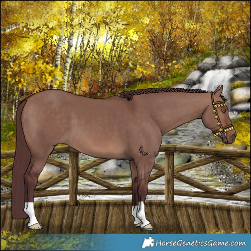 Horse Color:Chocolate Brown Dun Mushroom 