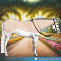 Horse Color:Silver Classic Champagne Dun Splash