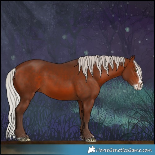 Horse Color:Silver Brown Splash 