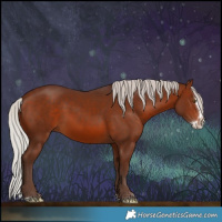 Horse Color:Silver Brown Splash 