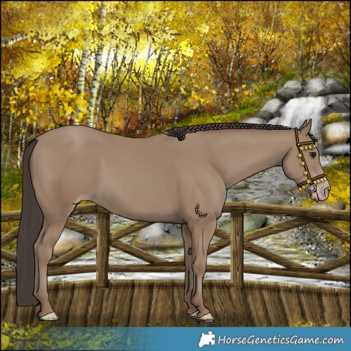 Horse Color:Classic Champagne 