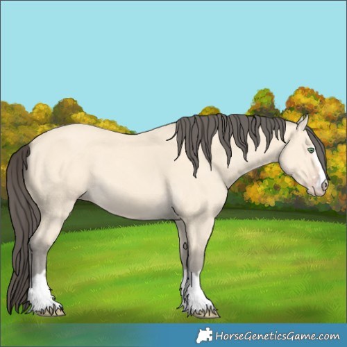 Horse Color:Amber Cream Champagne