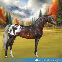 Horse Color:Gray Silver Brown Blanket