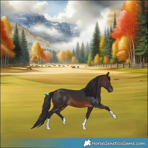 Horse Color:Brown 