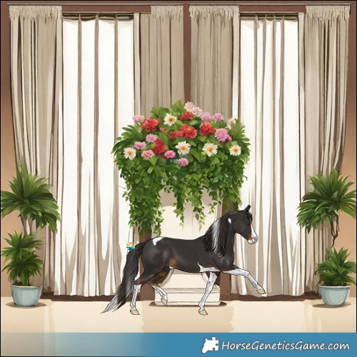 Horse Color:Liver Chestnut Splash Tobiano 