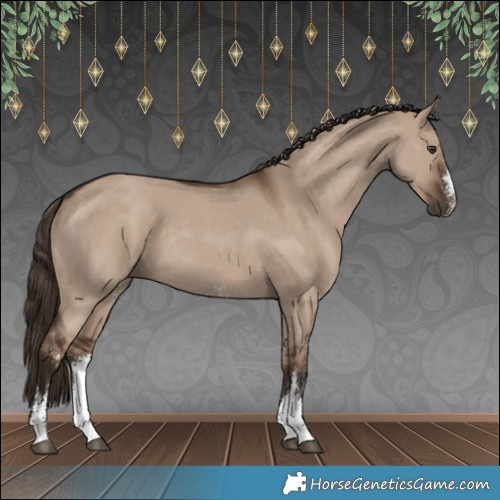 Horse Color:Liver Red Dun Sabino 