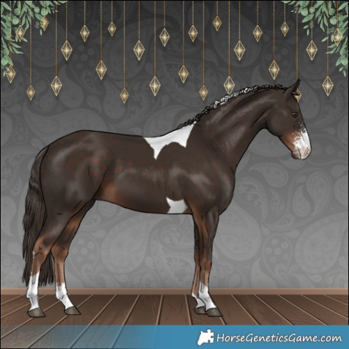 Horse Color:Liver Chestnut Sabino Tobiano 