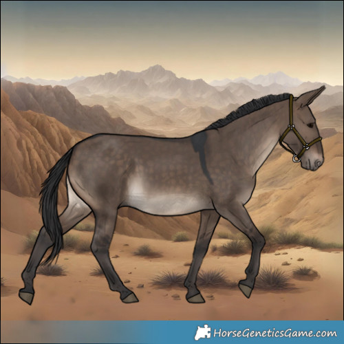 Horse Color:Brown Dun