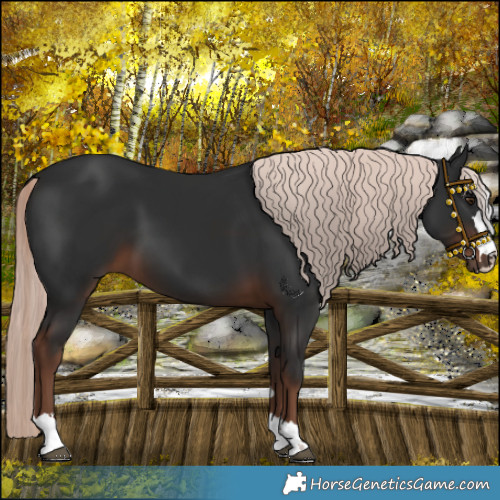 Horse Color:Liver Chestnut Mushroom