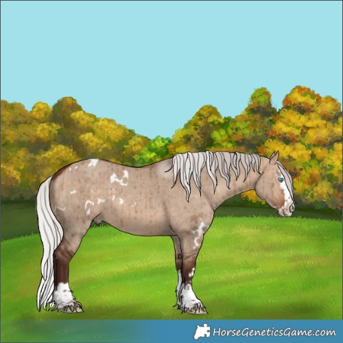 Horse Color:White Spotted Silver Bay Dun Splash Brindle 