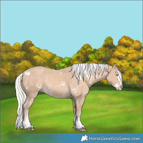 Horse Color:White Spotted Silver Perlino Splash