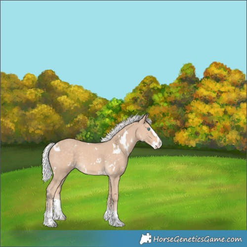Horse Color:White Spotted Silver Perlino Splash 