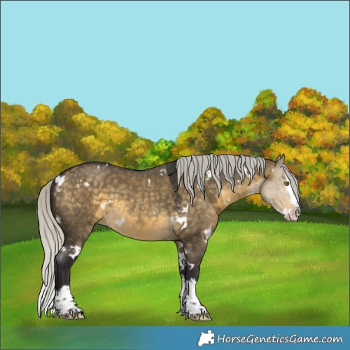 Horse Color:White Spotted Silver Buckskin Dun Splash 