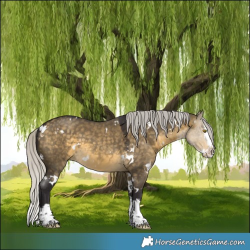 Horse Color:White Spotted Silver Buckskin Dun Splash 