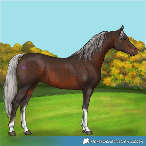 Horse Color:Silver Brown Sabino Tobiano Rabicano 