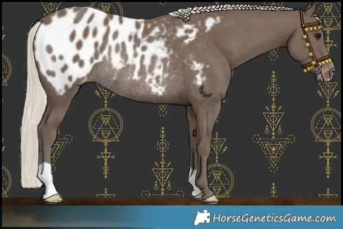 Horse Color:Silver Smoky Black Appaloosa Rabicano 