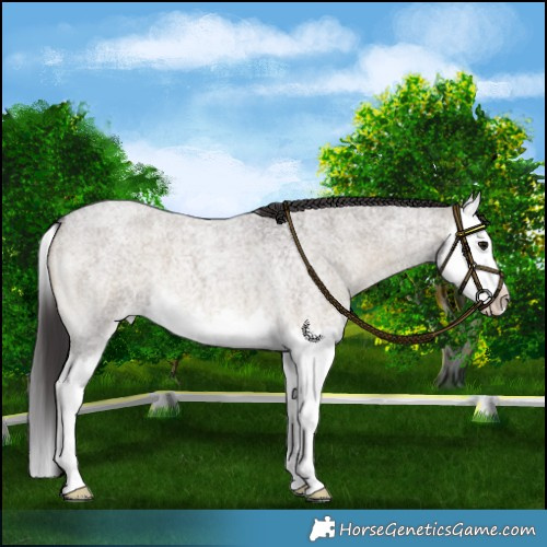 Horse Color:Smoky Grullo Roan Onyx Splash 