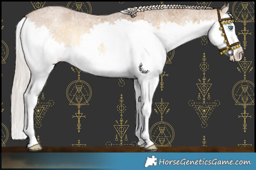 Horse Color:Chocolate Palomino Roan Onyx Splash 