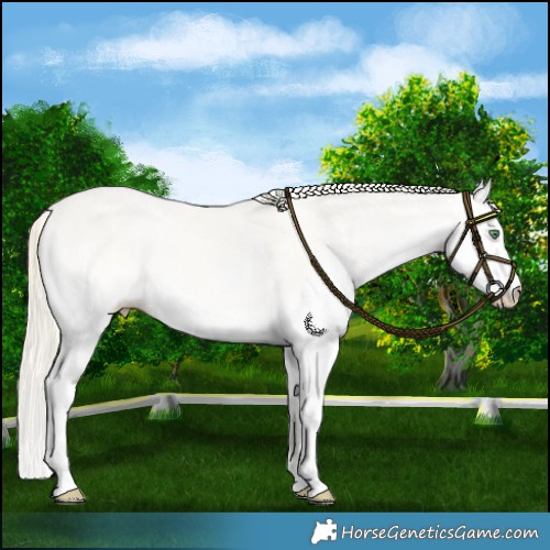 Horse Color:Smoky Creme Onyx Splash