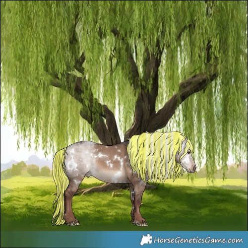 Horse Color:Painted White Spotted Liver Red Dun Mushroom