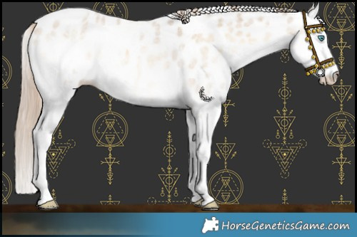 Horse Color:Chocolate Palomino Roan Onyx Splash Near Leopard