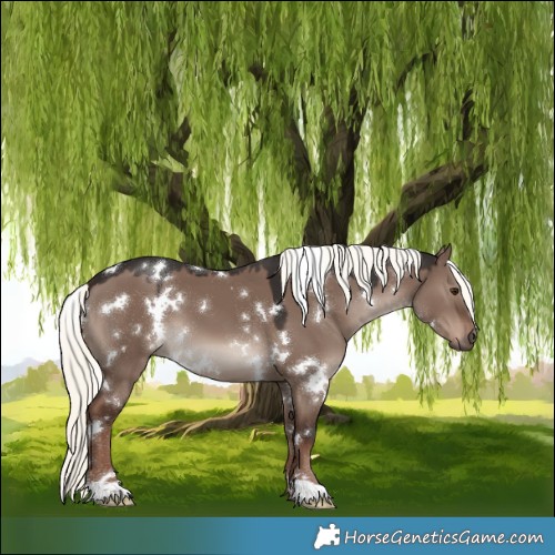 Horse Color:White Spotted Liver Red Dun Mushroom 