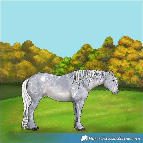 Horse Color:Watercolor White Spotted Silver Brown Chinchilla Ice 
