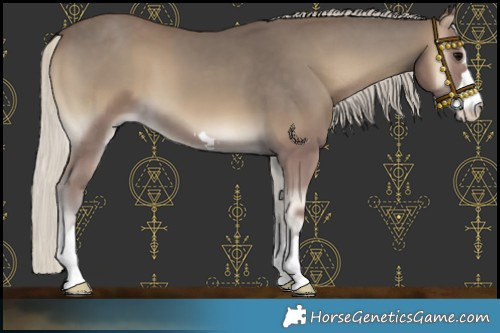 Horse Color:Silver Smoky Blue Onyx 