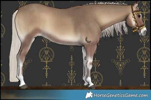 Horse Color:Silver Smoky Blue Onyx 