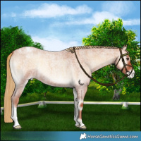 Horse Color:Red Onyx Roan Blanket 
