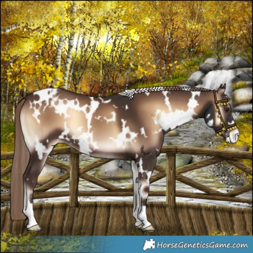 Horse Color:White Spotted Liver Red Onyx Varnish 